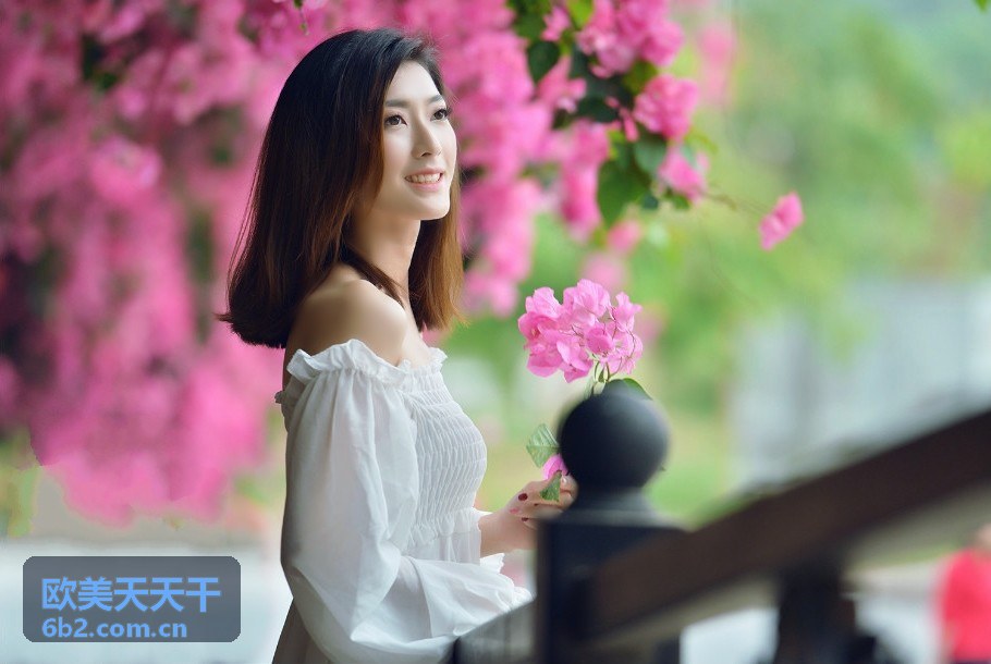 免费视频精品安全规则提示背景图
